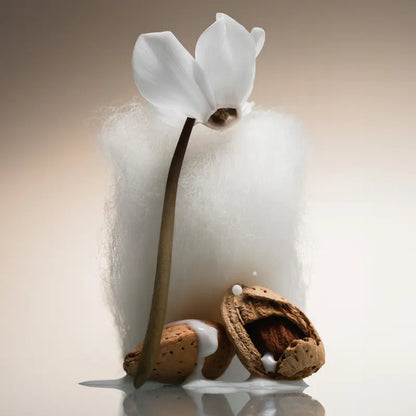 Cashmere Skin Body Mist – Full Size Hair & Body Fragrance Mist with Almond, Cyclamen, Cashmere & Warm Musk (8 fl oz)